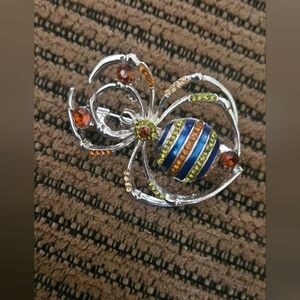 Colorful Spider Brooch with Stripes